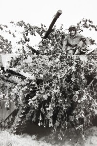 P- Casal Borsetti, al campo